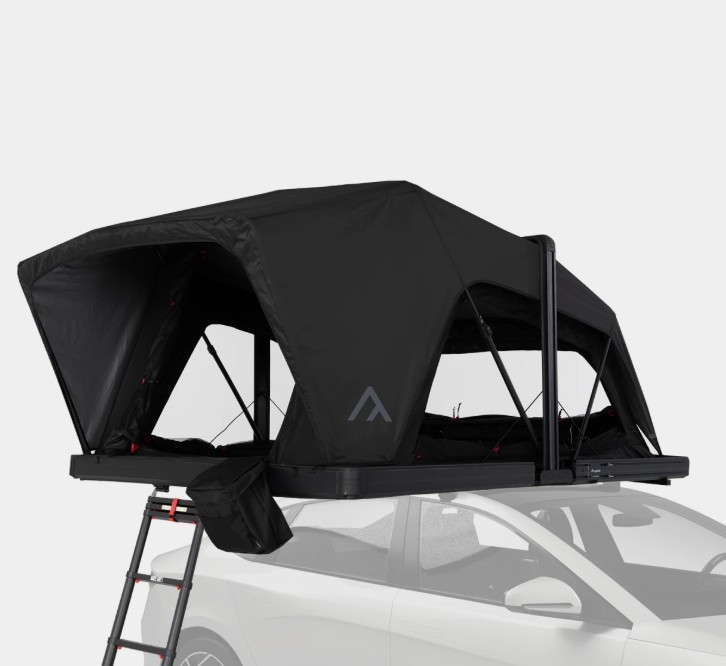 qeedo Freedom Hybrid 2+